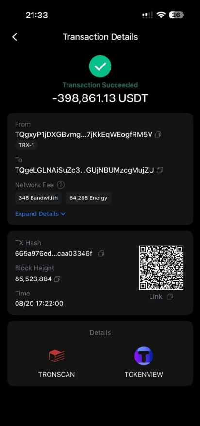 Successful transaction record for 398,861.13 USDT